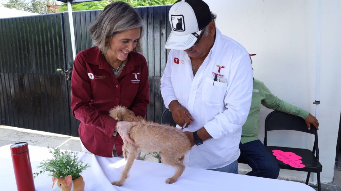 Vacunan a mascotas en la frontera