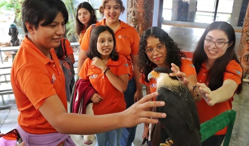 ES ZOOLÓGICO TAMATÁN UN REFERENTE UNIVERSITARIO EN MATERIA DE FAUNA