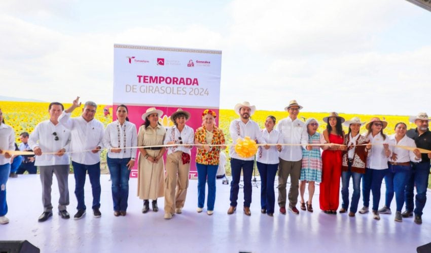 RESPALDA GOBIERNO DE TAMAULIPAS PROMOCIÓN DE CAMPOS DE GIRASOLES