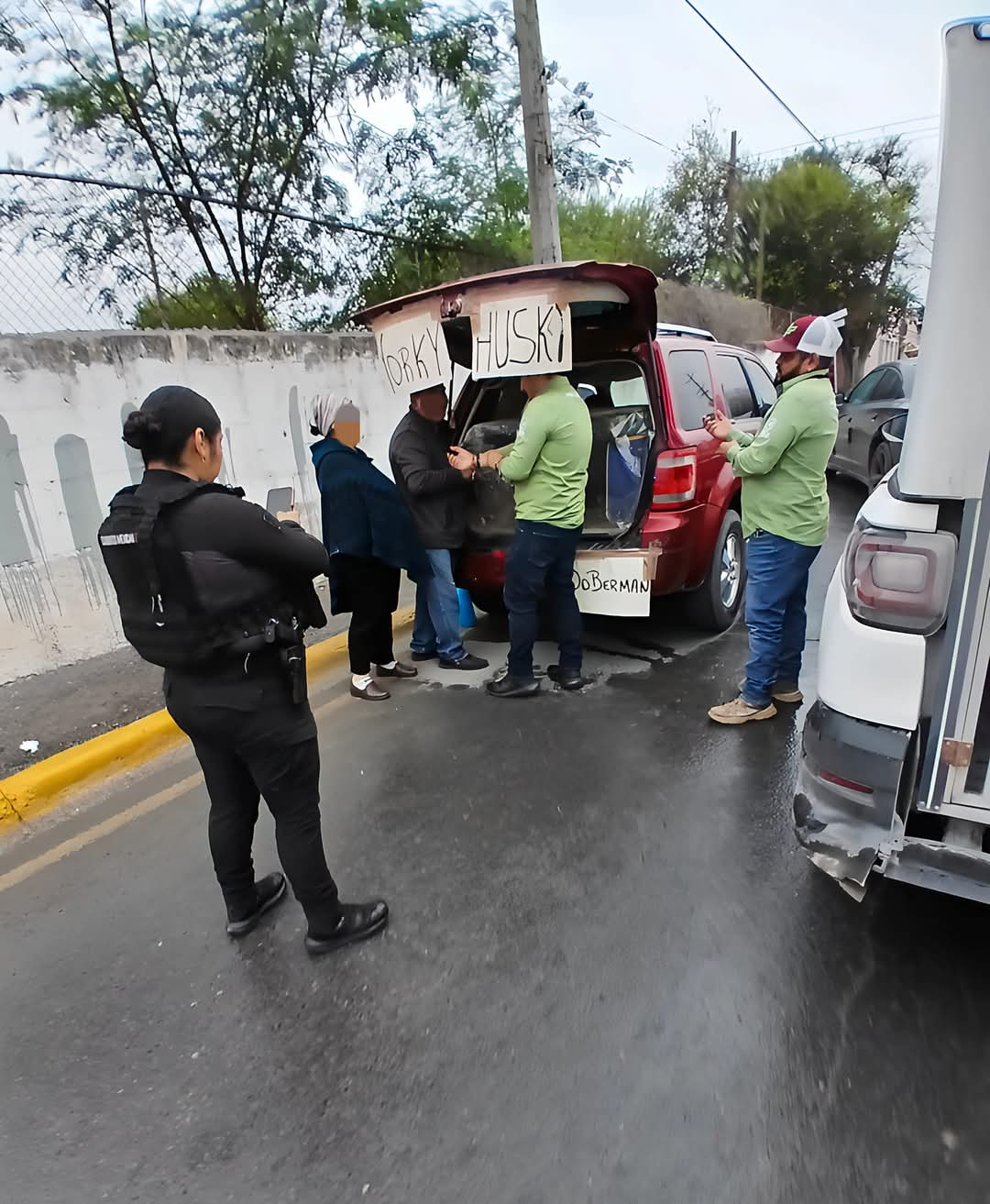 Retiran a vendedores de mascotas en Reynosa