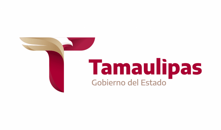 DECRETO FEDERAL DE INCENTIVOS IMPULSARÁ SECTORES PRIORITARIOS EN TAMAULIPAS: NINFA CANTÚ