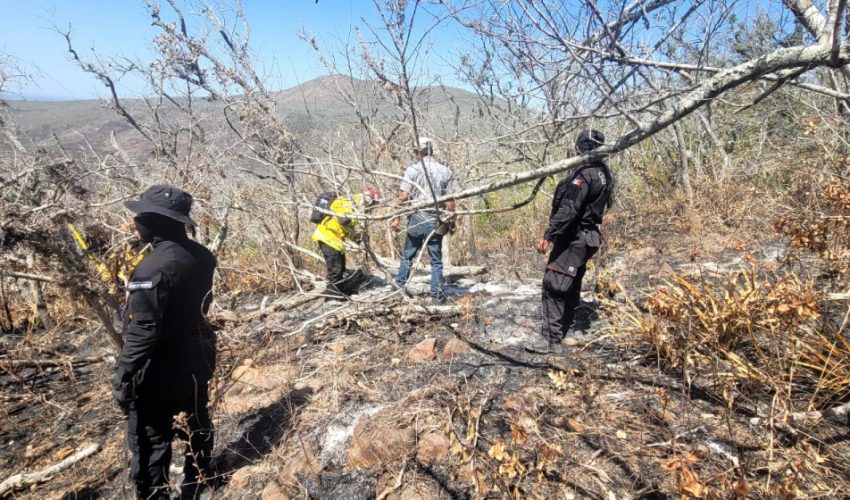 REALIZA PROTECCIÓN CIVIL OPERACIONES PERMANENTES DE CONTROL DE INCENDIOS FORESTALES EN TAMAULIPAS.