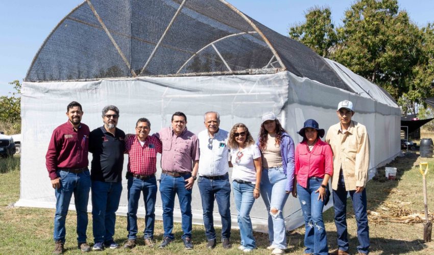 RECIBEN ESTUDIANTES DEL INSTITUTO TECNOLÓGICO SUPERIOR DE EL MANTE ASESORÍA EN TÉCNICAS DE SISTEMAS DE AGRICULTURA PROTEGIDA