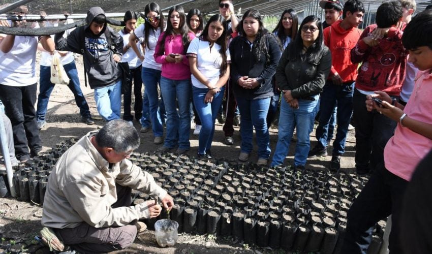 IMPULSA SECRETARÍA DE DESARROLLO RURAL CAPACITACIÓN FORESTAL EN ESTUDIANTES DE BACHILLERATO