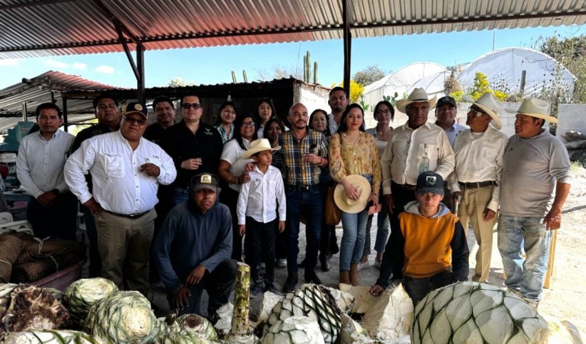 PROMUEVEN MEZCAL TAMAULIPECO EN PUEBLA.